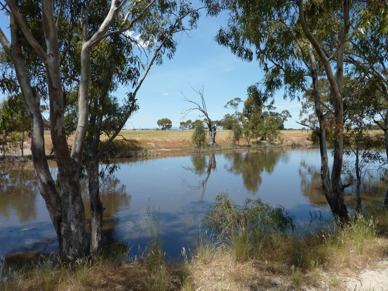 Horsham - Wimmera River at native grass reserve, east end of Baillie Street: View east across river