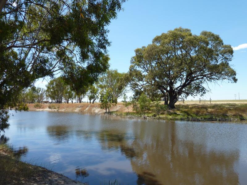 Horsham - Wimmera River at native grass reserve, east end of Baillie Street: View east across river