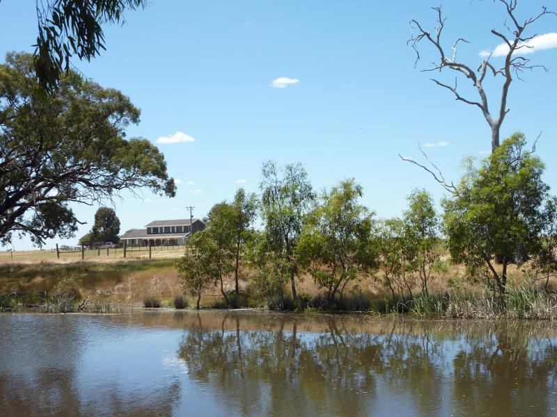 Horsham - Wimmera River at native grass reserve, east end of Baillie Street: View east across river