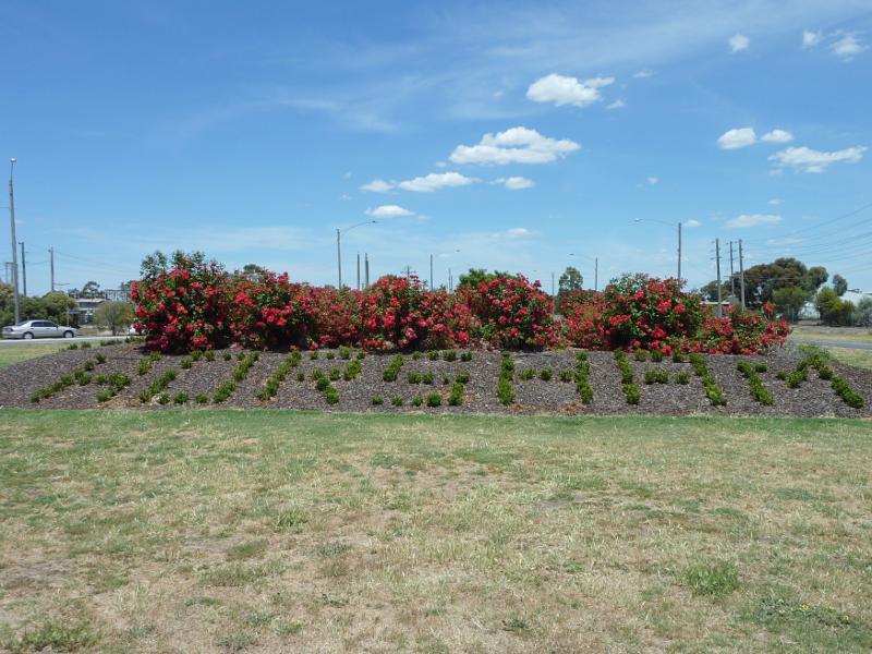 Horsham - Western Highway south-east of Horsham: Rose garden at junction of Western Hwy and Henty Hwy