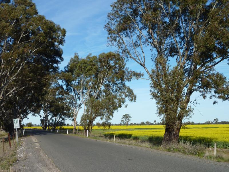 Horsham - Views from Wal Wal Road and Fishers Road near Taylors Lake: Easterly view along Wal Wal Rd near Western Hwy