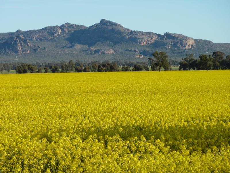 Horsham - Views from Wal Wal Road and Fishers Road near Taylors Lake: View towards Mt Difficult Range from Wal Wal Rd south of Fishers Rd