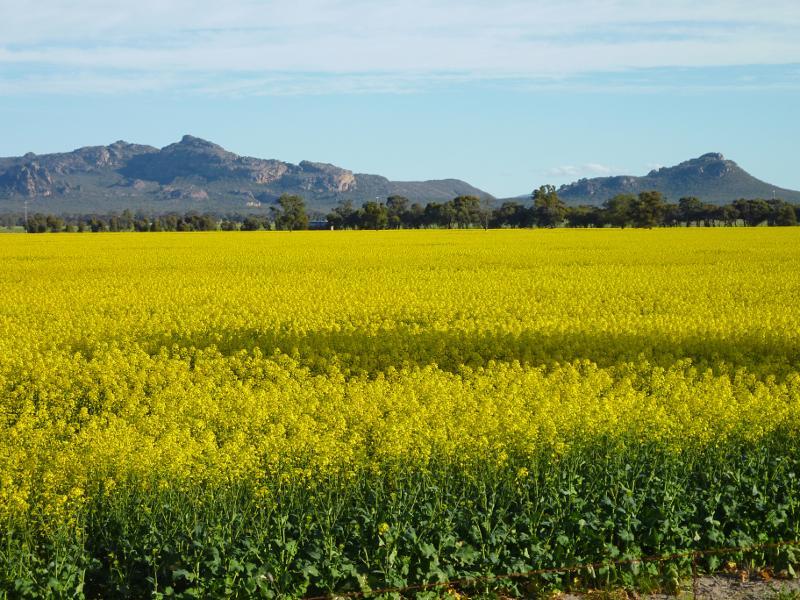 Horsham - Views from Wal Wal Road and Fishers Road near Taylors Lake: View towards Mt Difficult Range and Mt Zero from Wal Wal Rd south of Fishers Rd