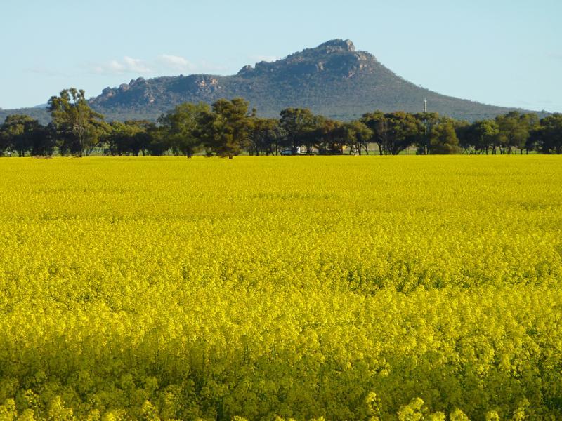 Horsham - Views from Wal Wal Road and Fishers Road near Taylors Lake: View towards Mt Zero from Wal Wal Rd south of Fishers Rd