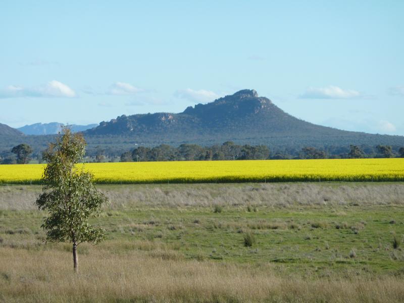 Horsham - Views from Wal Wal Road and Fishers Road near Taylors Lake: View south towards Mt Zero from Fishers Rd