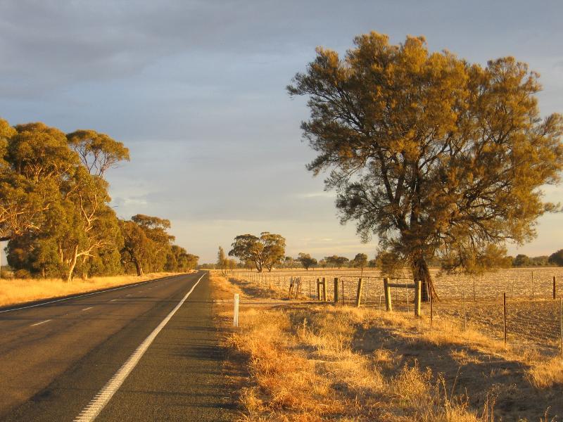 Horsham - Henty Highway south of Horsham: View south along Henty Hwy, 17 km south of Horsham