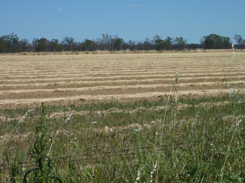 Horsham - Wimmera Highway west of Horsham: View south across fields, west of Curran Rd