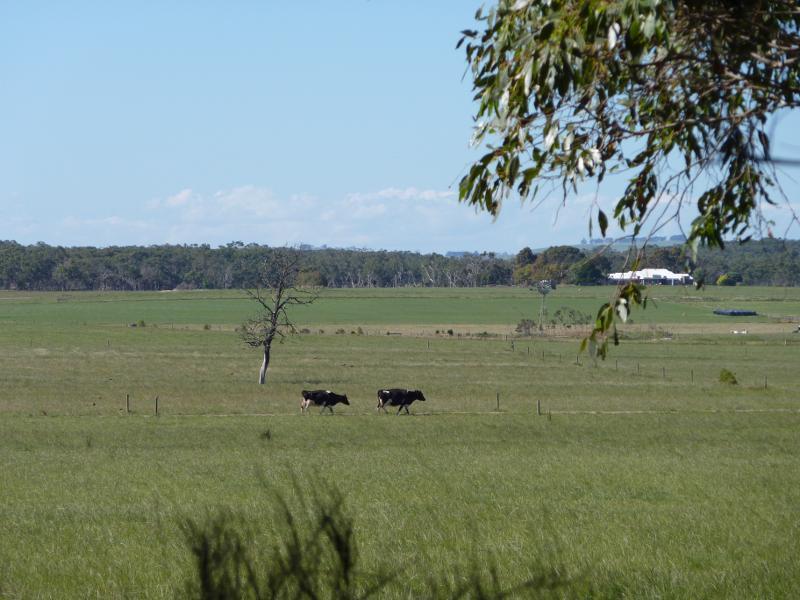Inverloch - Bass Highway around Inverloch: View north-east from Bass Hwy at Sandy Mount Av