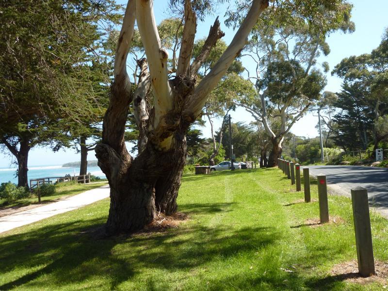 Inverloch - Beach along Ramsey Boulevard at Western Street: View west along Ramsey Bvd