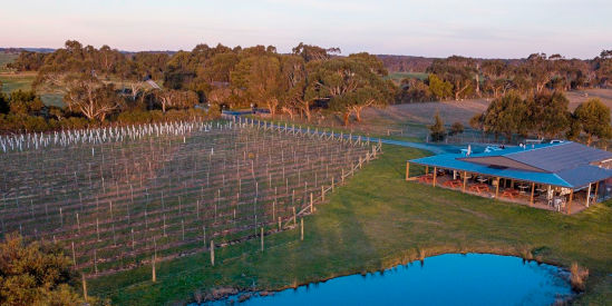 Harman Wines, Wattle Bank
