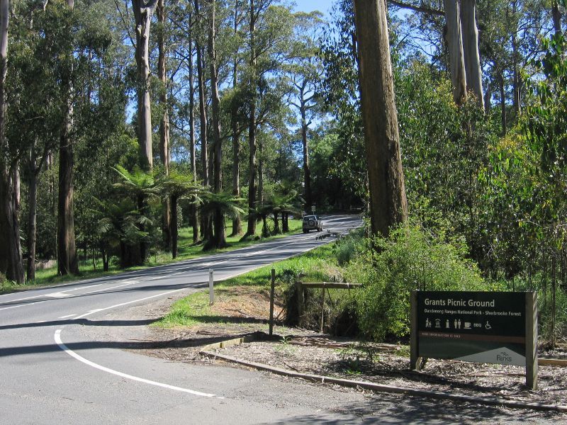 Kallista - Grants Picnic Ground, Monbulk Road: View north along Monbulk Rd at entrance to picnic grounds