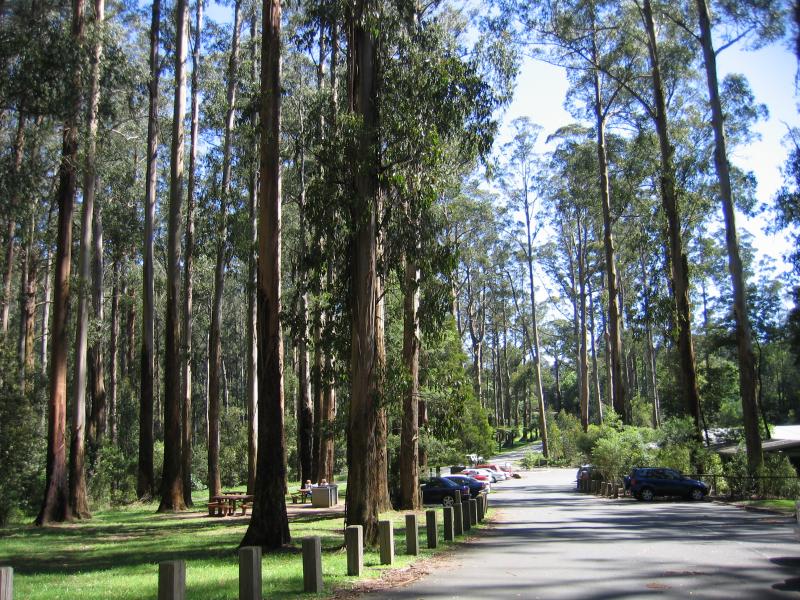 Kallista - Grants Picnic Ground, Monbulk Road: BBQ areas and car park