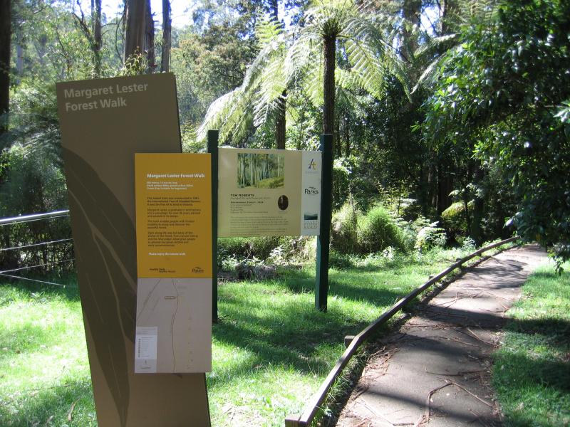 Kallista - Grants Picnic Ground, Monbulk Road: Margaret Lester forest walk