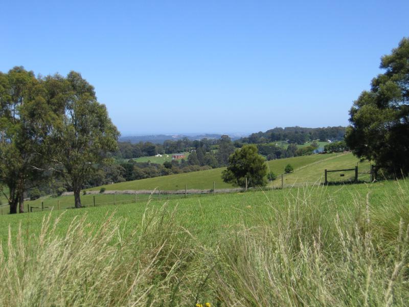 Kallista - Johns Hill Reserve, Ridge Road - View west through reserve