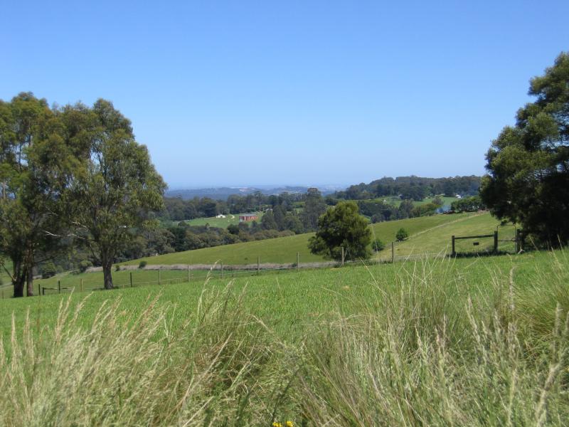 Kallista - Johns Hill Reserve, Ridge Road: View west through reserve