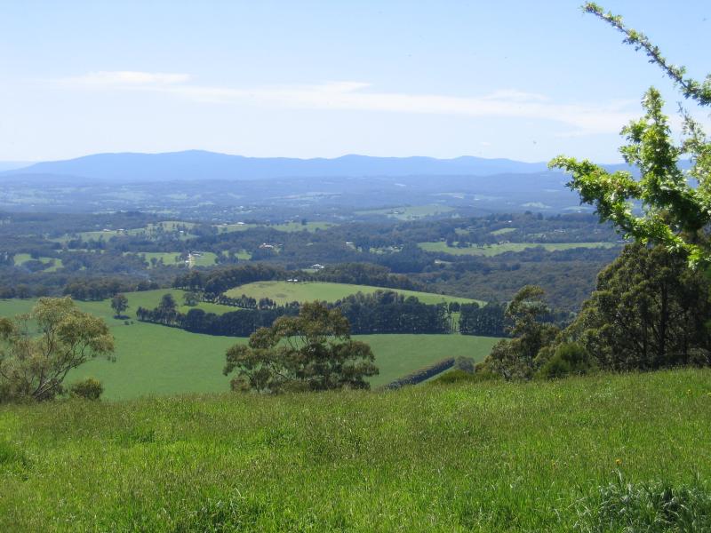 Kallista - Johns Hill Reserve, Ridge Road: View north from reserve