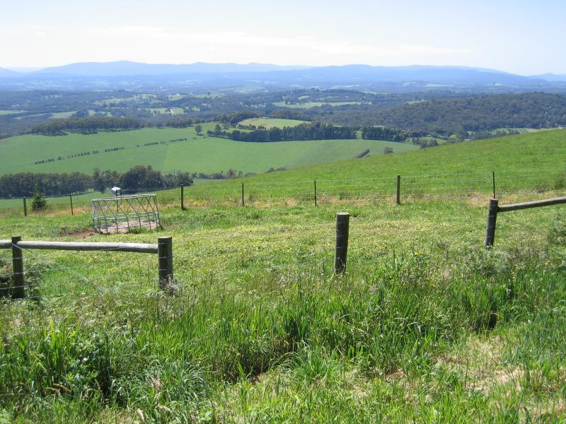 Kallista - Johns Hill Reserve, Ridge Road: View north from Ridge Rd at Ocean View Cr East