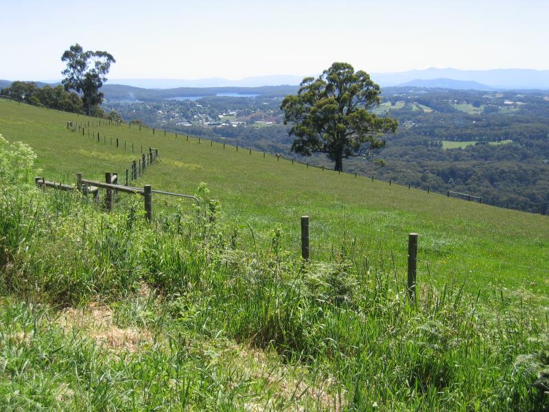 Kallista - Johns Hill Reserve, Ridge Road: View north-west from Ridge Rd at Ocean View Cr East