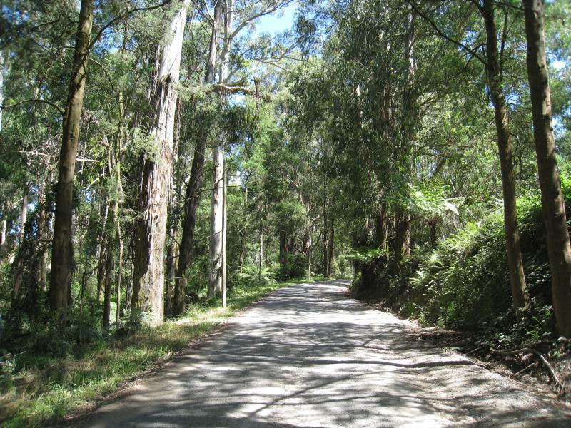 Kallista - Kallista-Emerald Road near eastern end: View along road through bush near Menzies Creek