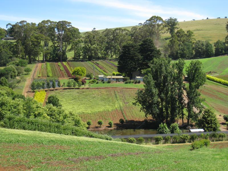 Kallista - Kallista-Emerald Road near eastern end: View south across farm land