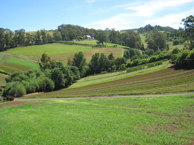 Kallista - Kallista-Emerald Road near eastern end: View south-west across farm land