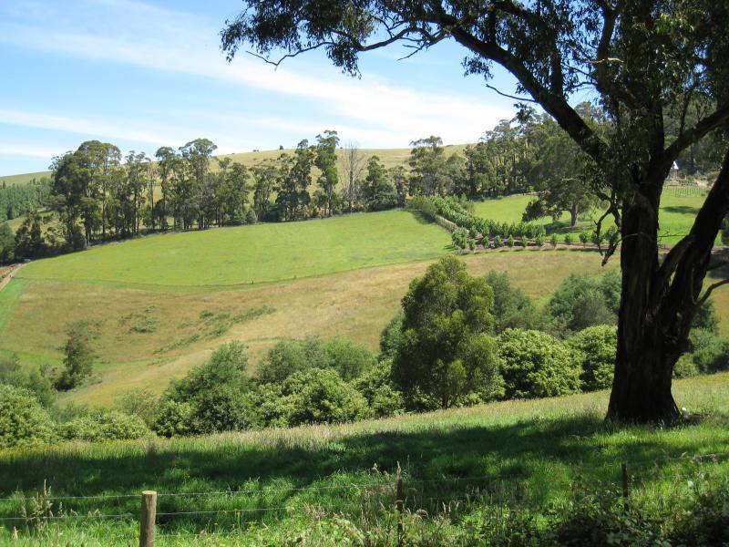 Kallista - Kallista-Emerald Road near eastern end: Southerly view across grazing land