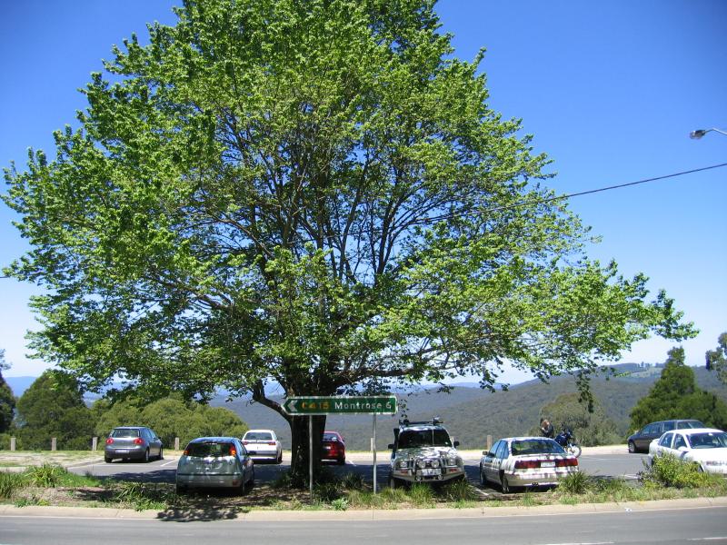 Kalorama - Kalorama Lookout, Mount Dandenong Tourist Road opposite Ridge Road: View towards lookout and car park from Mt Dandenong Tourist Rd
