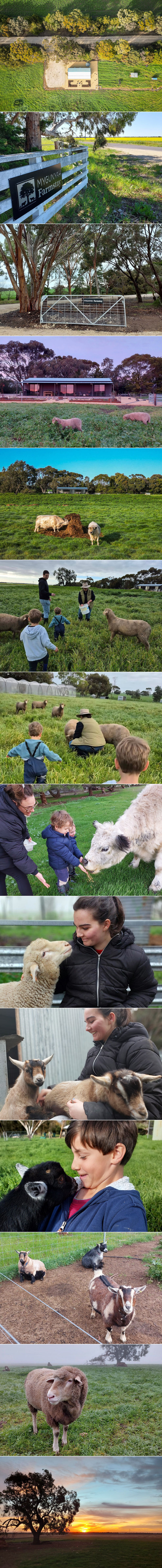 Mygunyah Farmstay - The farm