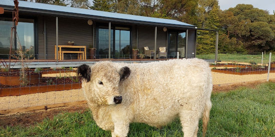 Mygunyah Farmstay