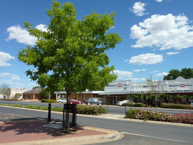 Kaniva - Shops, Commercial Street between Madden Street and Dungey Street: Supermarket along southern side of Commercial St