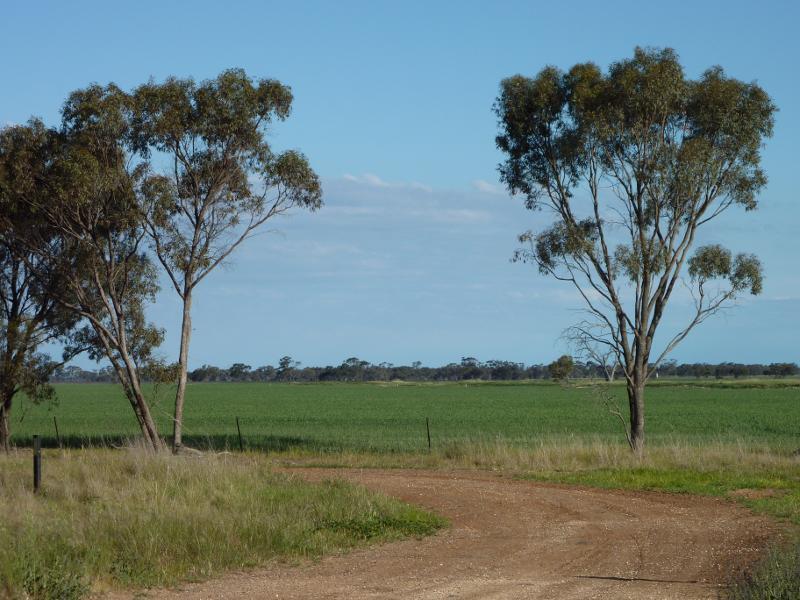 Kaniva - Broughton Road: South-easterly view, Broughton Rd at Vivians Rd
