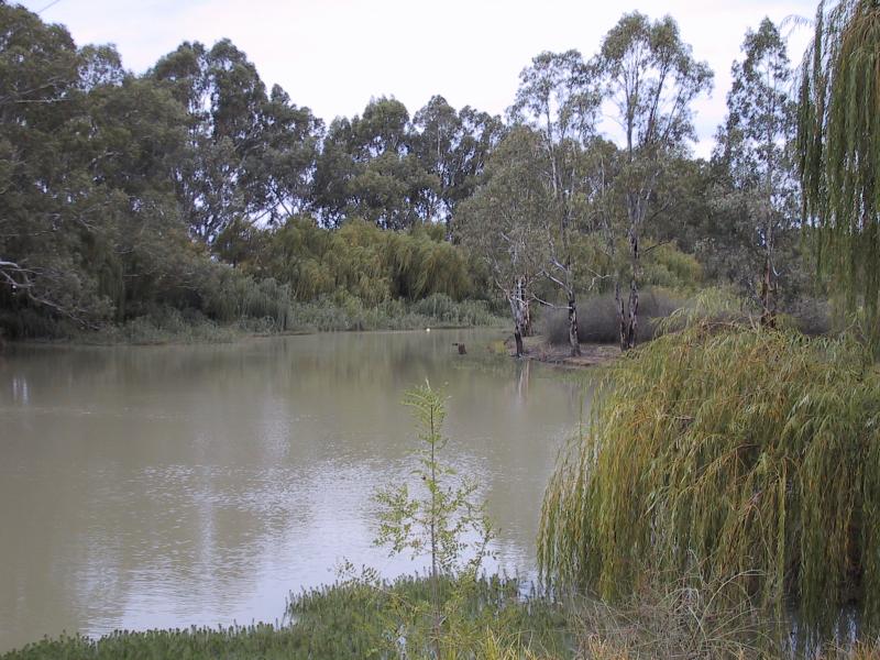 Kerang - Loddon River: View south along river