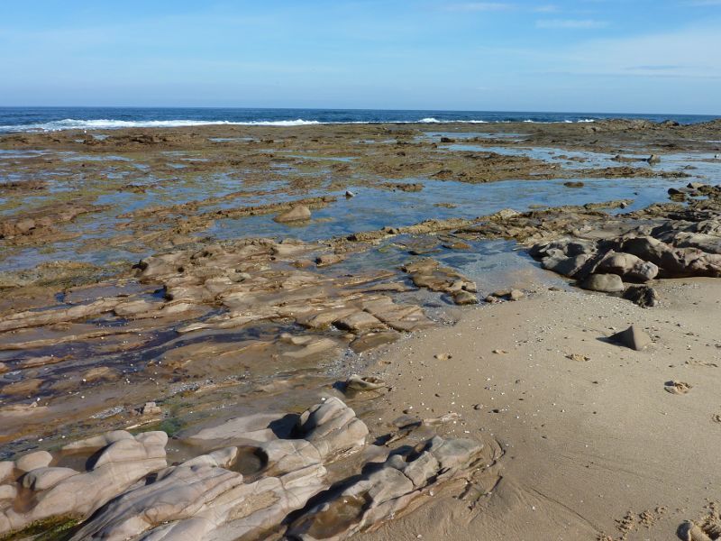 Kilcunda - Town beach: Rock platform on beach