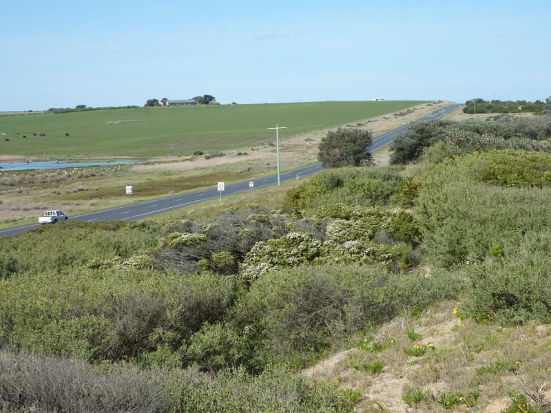 Kilcunda - Trestle Bridge and Bass Coast Rail Trail, Bass Highway around Bourne Creek: View south-east along Bass Hwy from trail east of Trestle Bridge
