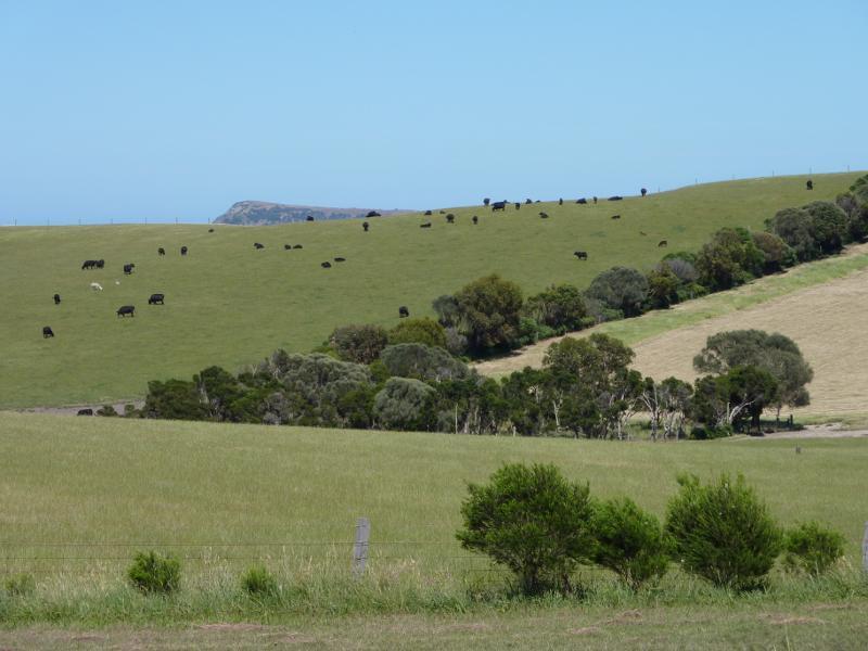 Kilcunda - Bass Highway north-west of town centre: South-westerly view, Bass Hwy 500 metres north-west of Mabilia Rd