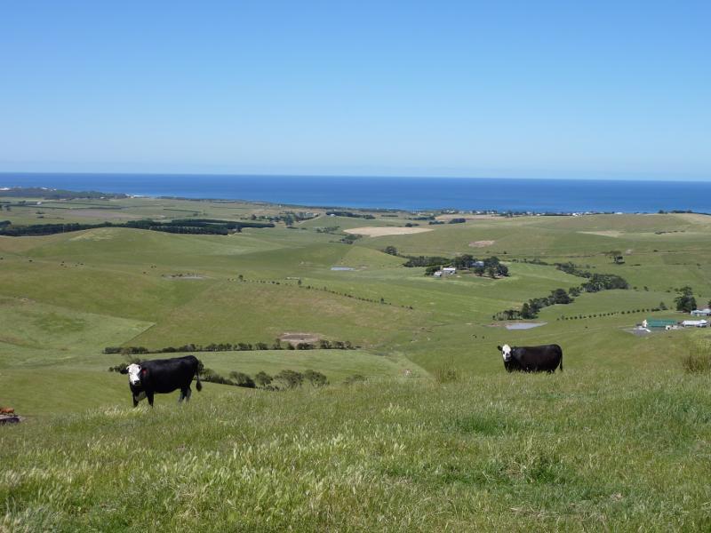 Kilcunda - Scenery along Kilcunda Ridge Road: Southerly view, 4 km from Bass Hwy