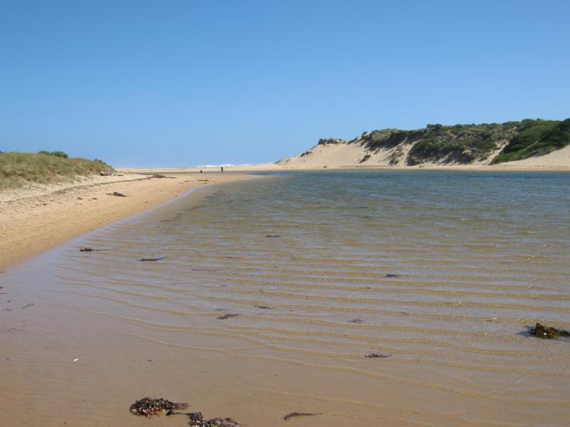 Kilcunda - Powlett River around river mouth and surrounding ocean beach: View south along river towards ocean