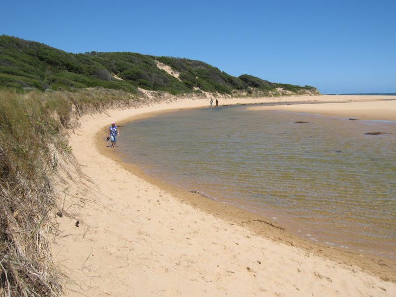 Kilcunda - Powlett River around river mouth and surrounding ocean beach: View along eastern shoreline of river towards ocean