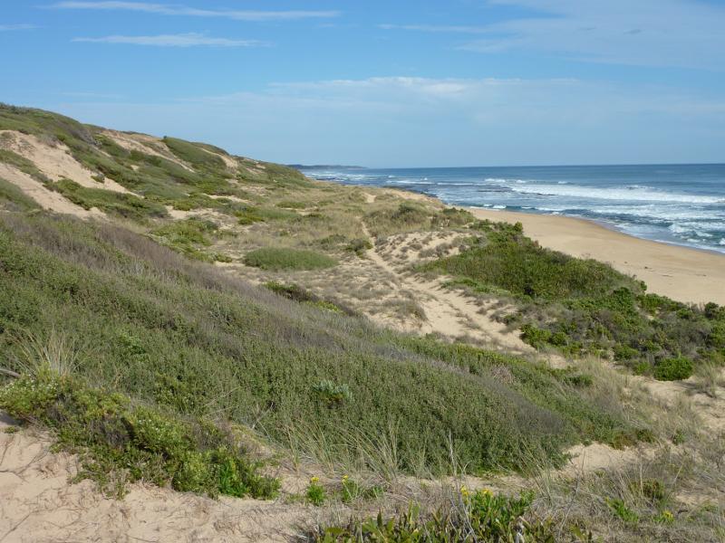 Kilcunda - Powlett River around river mouth and surrounding ocean beach: View south-east along coast from sand dunes on east side of river mouth