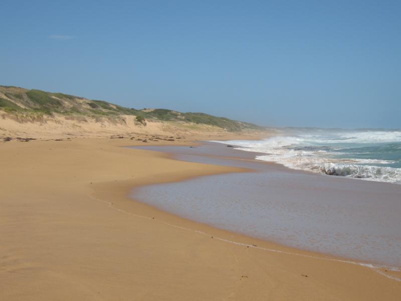 Kilcunda - Powlett River around river mouth and surrounding ocean beach: View south-east along ocean beach on east side of river mouth