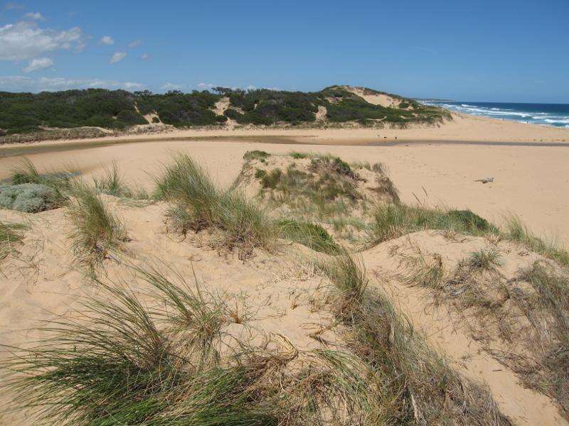 Kilcunda - Powlett River around river mouth and surrounding ocean beach: View south-east across river near mouth from sand dunes