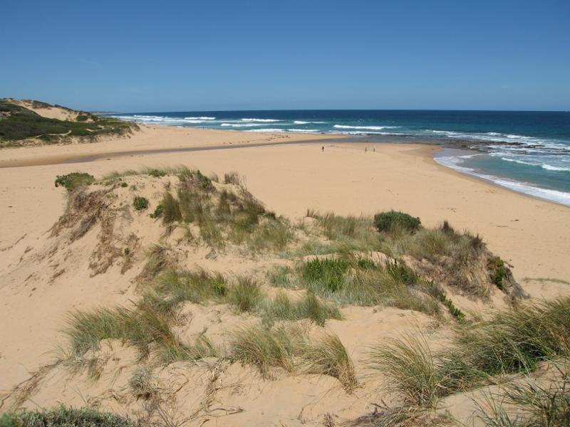 Kilcunda - Powlett River around river mouth and surrounding ocean beach: View south towards river mouth from sand dunes