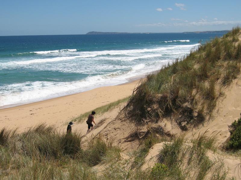 Kilcunda - Powlett River around river mouth and surrounding ocean beach: View west towards Cape Woolamai from sand dunes on west side of river mouth