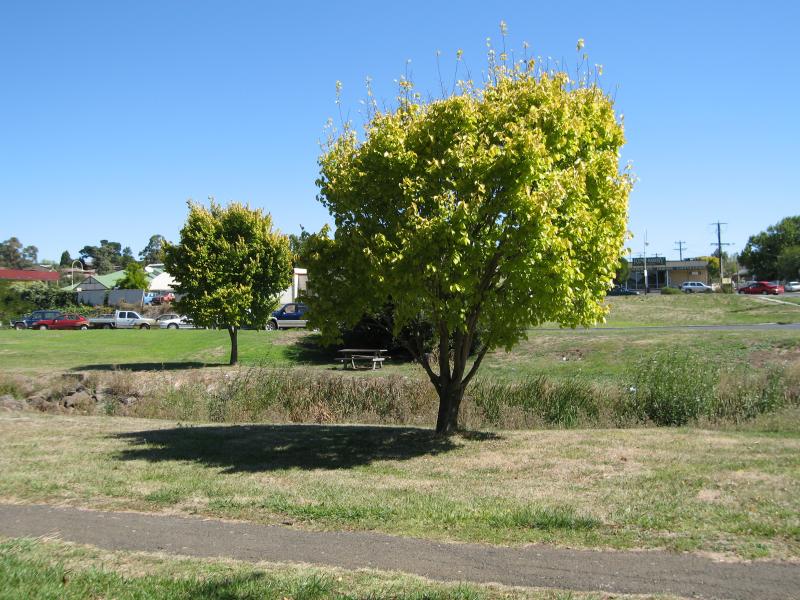 Kilmore - Taylor Reserve, Victoria Parade along Kilmore Creek: View west across Taylor Reserve and Kilmore Creek near Union St