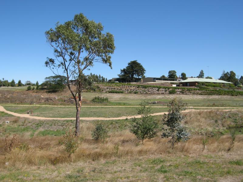 Kilmore - Parks along Kilmore Creek at Rutledge Street: View west across Kilmore Creek at Sam De Gabrielle Reserve