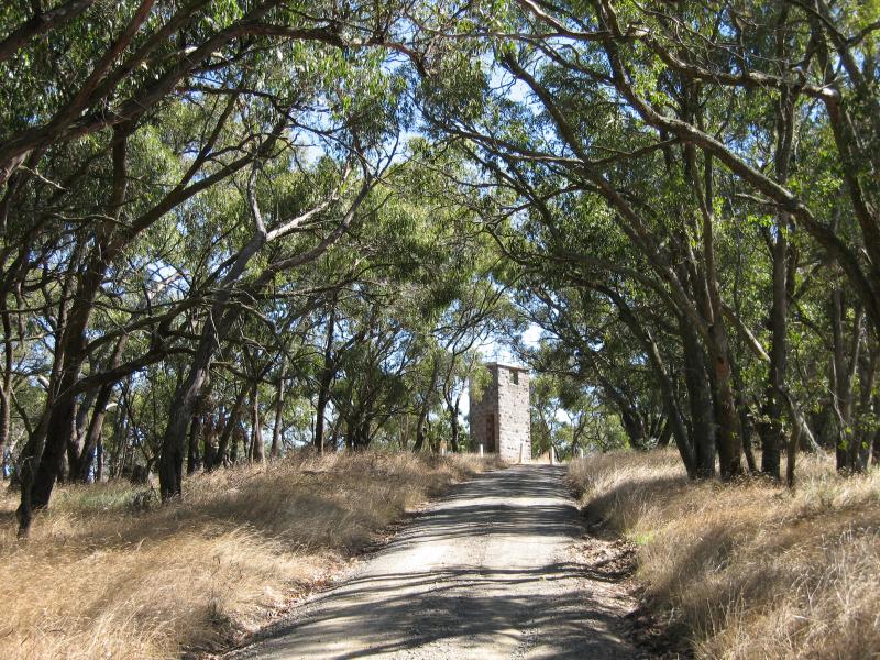 Kilmore - Monument Hill and Hume & Hovell Memorial Lookout Tower: View along Monument Rd towards lookout tower