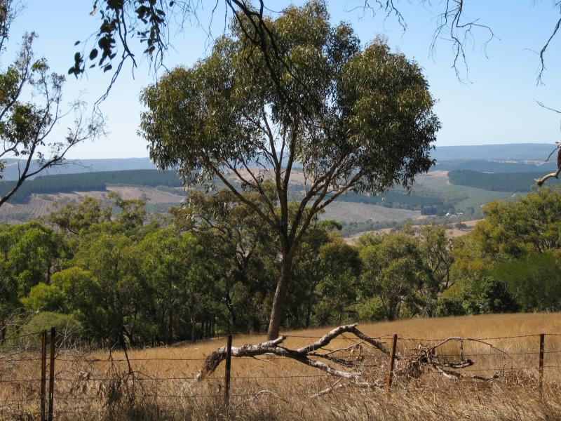 Kilmore - Monument Hill and Hume & Hovell Memorial Lookout Tower: View east from near base of lookout tower