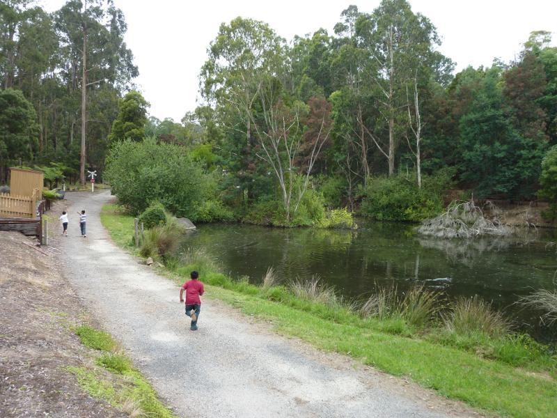 Korumburra - Coal Creek Heritage Village, Silkstone Road: Path alongside lake approaching bush tramway Middle Station