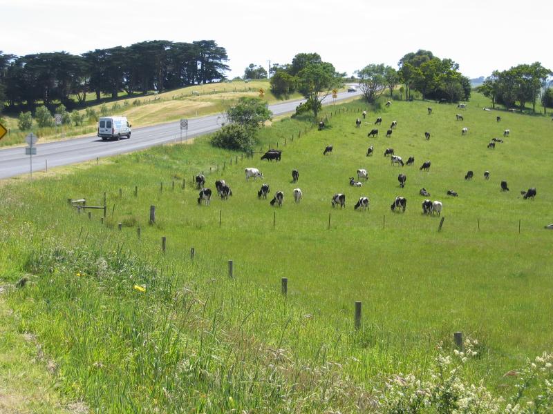Korumburra - South Gippsland Highway west of Korumburra: View west across grazing fields, South Gippsland Highway, 7 km west of Korumburra, near Bena