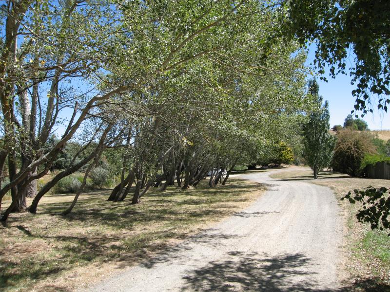Kyneton - Campaspe River: View west along Mill St at Campaspe River
